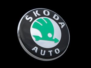 Логотип Skoda Логотип Skoda