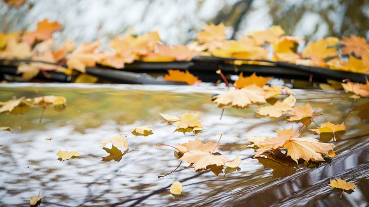 Что водители чаще всего забывают сделать с автомобилем перед зимой. Окровения эксперта Что водители чаще всего забывают сделать с автомобилем перед зимой. Окровения эксперта