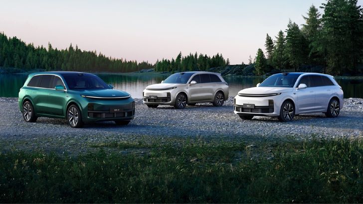 Популярные «Лисяны» прошли сертификацию в России: сколько они стоят официально